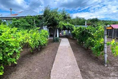 Casă si teren de vânzare în TECUCI - 3