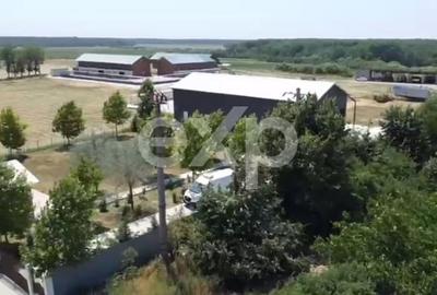 Teren Construcții intravilan de 105000 mp, în Crânguri - 6