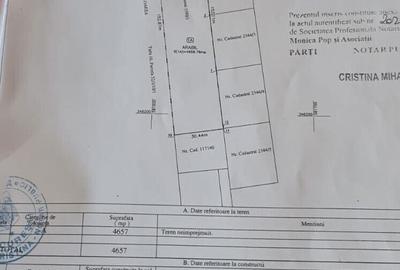 Teren Construcții intravilan de 4657 mp, în Corbeanca - 13