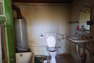 Casă cu 2 camere în Tisa - 3