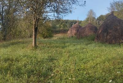 Vand casa zona linistita - 1