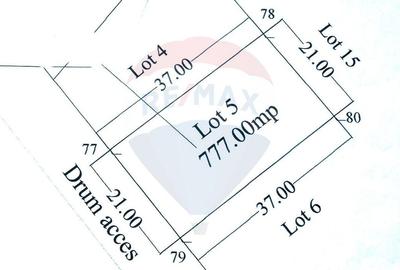 Teren Construcții intravilan de 777 mp, în Corbeanca - 4