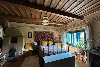 Casă cu 2 camere în Breb - 4