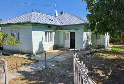 Casa de vazare in Bordestii de jos - 8