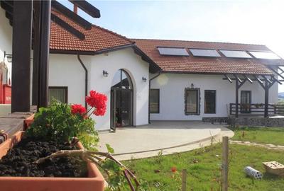 Guesthouse for sale near Mehedinți Mountains - 7