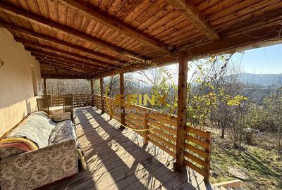 Casa moderna 5 camere Drajna de Sus,  teren generos si pomi fructiferi - 9