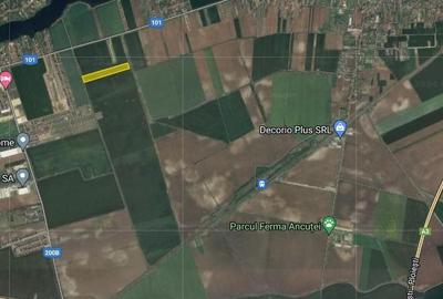 Teren agricol extravilan de 12850 mp, în Moara Vlăsiei - 2