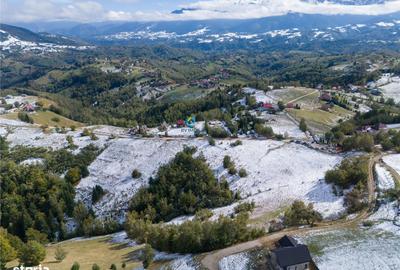Teren de 12000 mp, în Moieciu