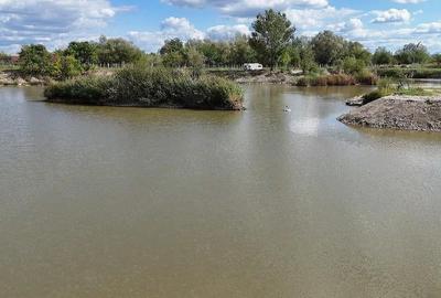 Spațiu comercial, de 4,700,000 mp, în Ineu - 5