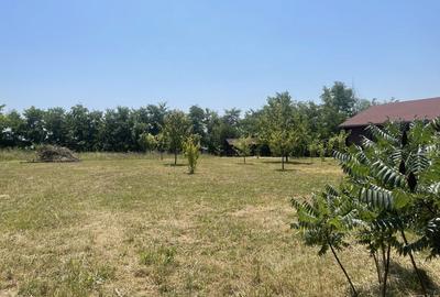 Spațiu comercial, în Budacu de Jos - 4