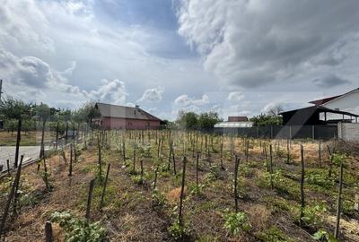 Teren Construcții intravilan de 1342 mp, în Central - 1