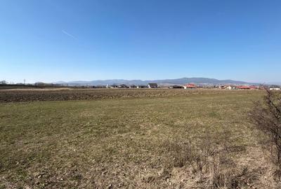 Teren de 511 mp, în Partoș - 1