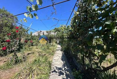 Casă cu 3 camere cu Teren 6817 Mp în Zănești - 9