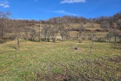 Casă cu 3 camere cu Teren 2500 Mp în Pietroasa - 19