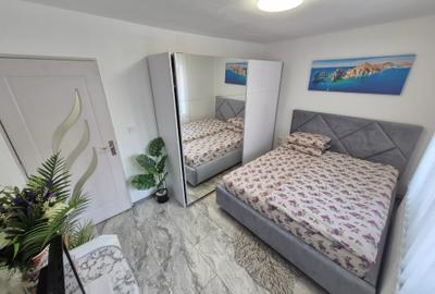 2 Cam--Sagului-Renovat-3 Min Shopping City-Centrala- Mobilat-Utilat-60 MP - 6