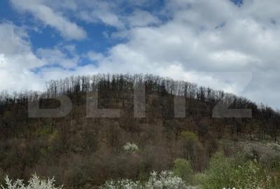 Teren de 19100 mp, în Central