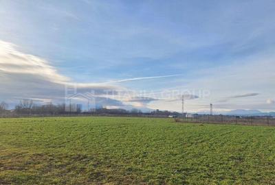 Teren de 5435 mp, în Hălchiu - 2