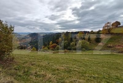 Teren spectaculos, ideal pentru cabana, parcelabil, cu utili - 1