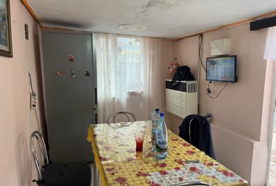Casa individuala, in cartierul Lazaret cu bucatarie de vara,terasa si acces auto - 17
