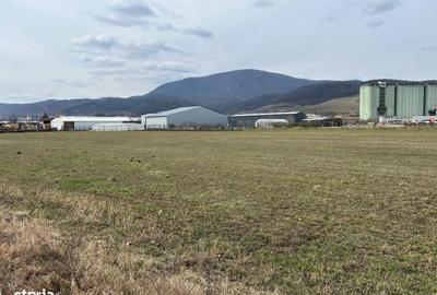 Spațiu comercial, în Central - 6