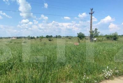 Teren de 6670 mp, în Central