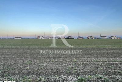 Teren de 500 mp, în Nojorid - 3