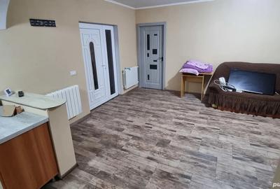 Casa noua in vinga - 2