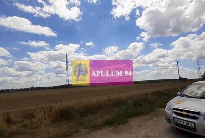 Teren de 715 mp, în Snagov - 16