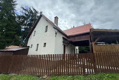 Vila de vanatoare in Santimbru-Bai - 9