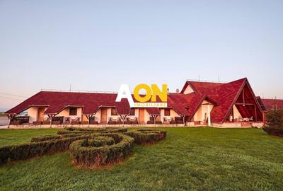 Hotel/Pensiune, de 1,000 mp, în Vințu de Jos - 2