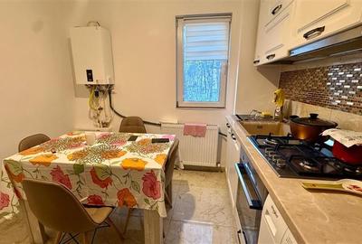 Apartament cu 2 camere semidecomandat în Podu Roș - 4