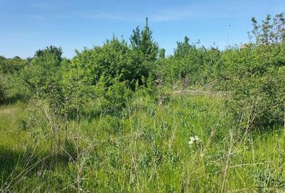 Teren de 2500 mp, în Valea Lupului - 1