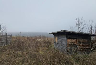 Casa Bucium - Poieni 6.200mp - 2