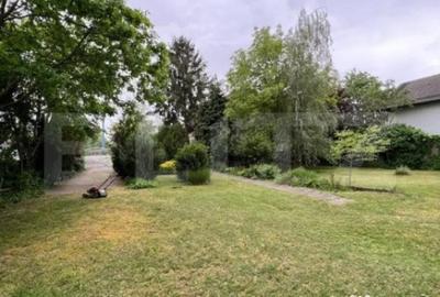 Casă cu 7 camere cu Teren 3000 Mp în Botizului - 15