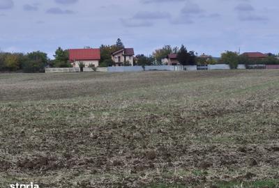 Teren de 750 mp, în Balotești - 8