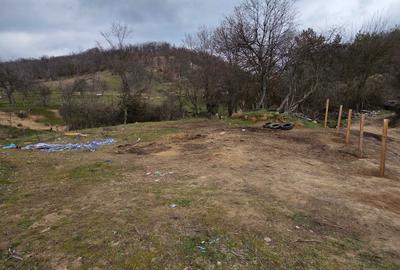 Spațiu comercial, în Eșelnița - 7