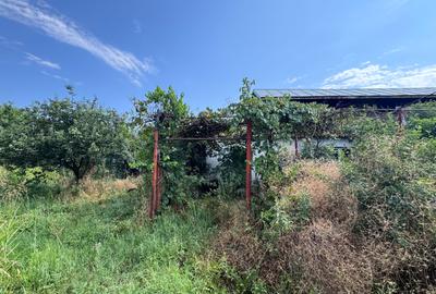 Casă parter + mansardă, 115 mp, teren 2000 mp – lângă Lacul Mostiștea - 7