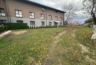 Apartament/Studio 2 camere si Curte Pet Friendly - 1