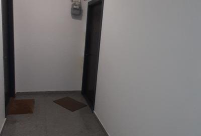 Apartament cu 2 camere decomandat, mobilat în Berceni - 6