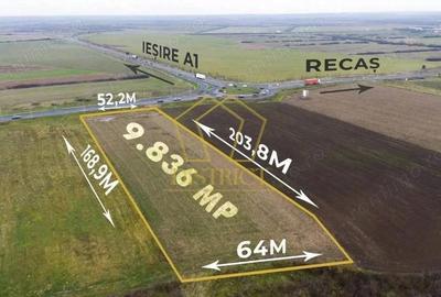 Teren extravilan langa Autostrada | Remetea Mare - 1