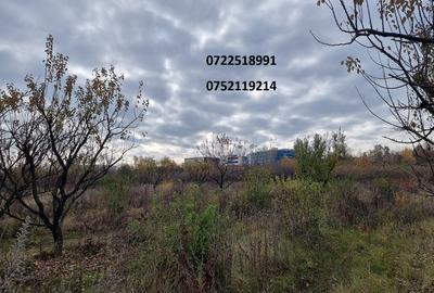 Teren în Băneasa - 4