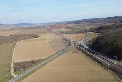 Teren de 19319 mp, în Hoghilag - 9