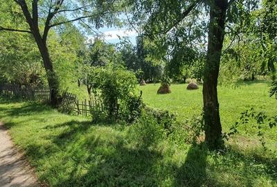 Teren Construcții intravilan de 6132 mp, în Poienari (Corbeni) - 4