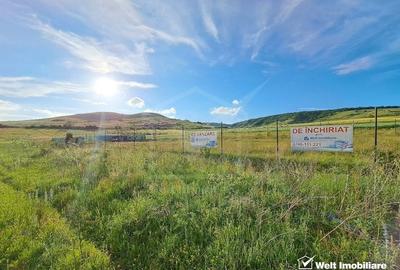 2 terenuri – 900 mp si 2000 mp, zona centura Donath - Floresti - 2