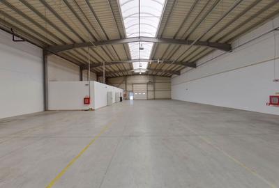 Hală industrială de închiriat 856 mp - 2