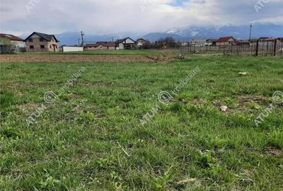 Eren intravilan 1400 mp de pe Valea Avrigului - 4