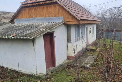 Casă cu 2 camere în Hilița - 5