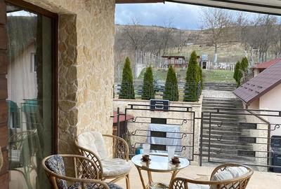 Casă cu Teren 1905 Mp în Stejeriș - 9