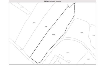 Teren agricol intravilan de 3111 mp, în Feldru - 9