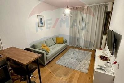 Apartament/Studio de inchiriat Aviatiatiei Park - 13
